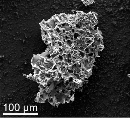 Lab turns hard-to-process plastic waste into carbon-capture grasp