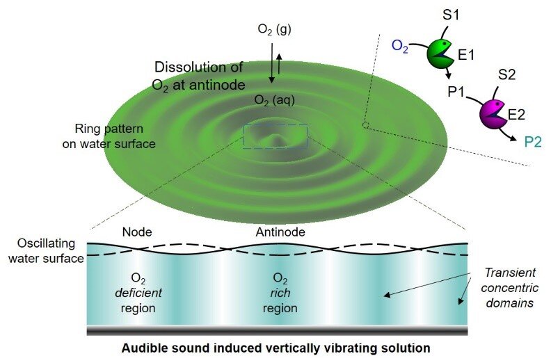 Spatiotemporal regulation of chemical reactions using only audible sound