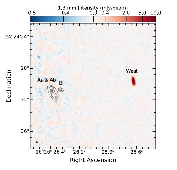 VLA 1623 West is a young protostellar disk, study suggests