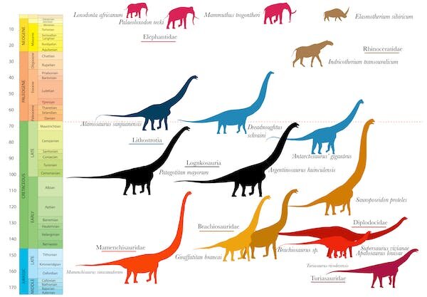 What if the dinosaurs hadn't gone extinct? Why our world might look very  different