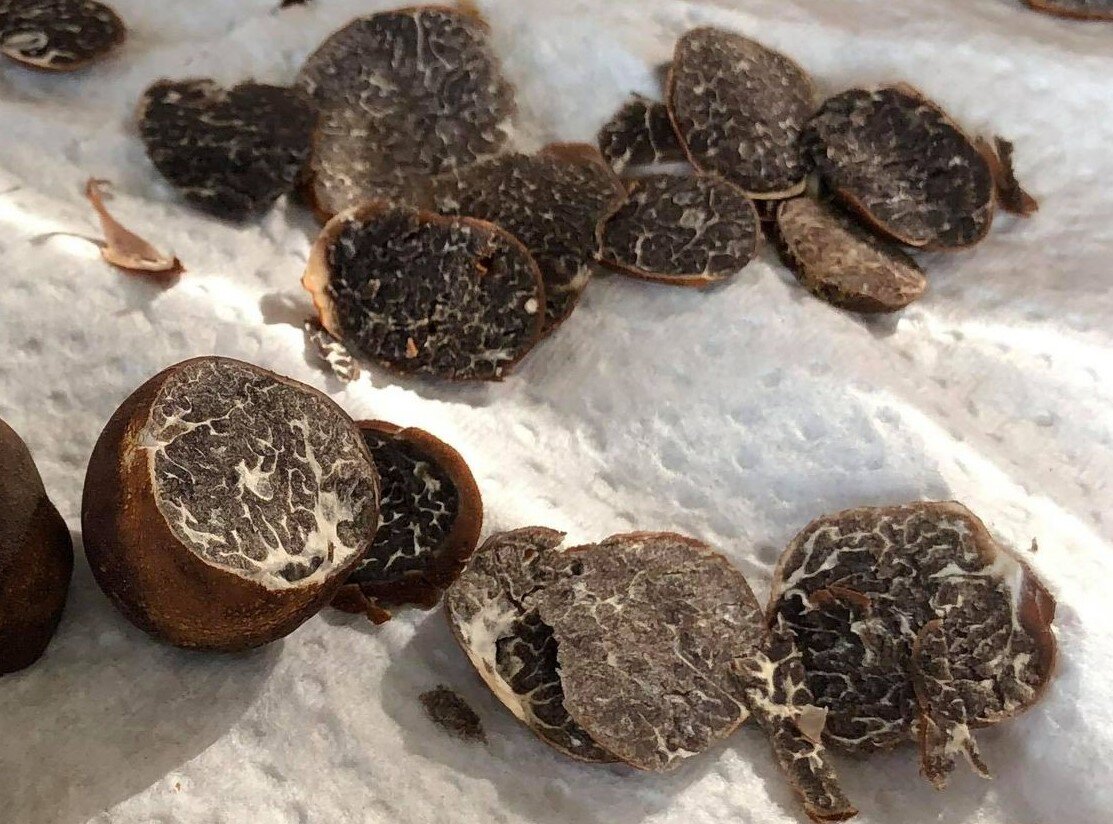 What makes the ‘Appalachian truffle’ taste and smell delicious?
