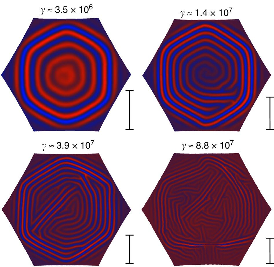 When curved materials flatten, simple geometry can predict the wrinkle patterns that emerge