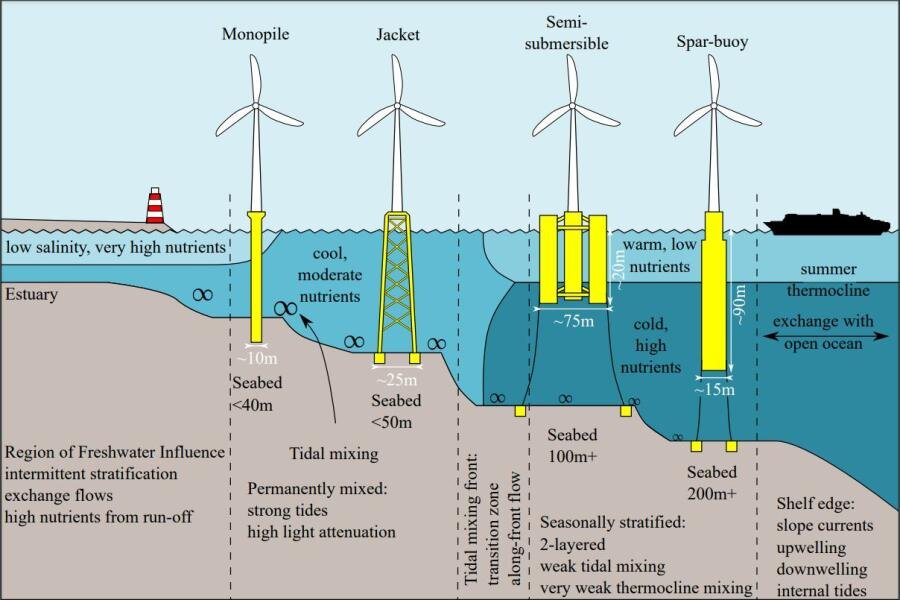 New research needed on environmental impact of turbulence from deep-water  wind farms