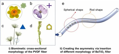 Work on recycling energy using piezoelectric fiber finds solutions in the shapes of flowers and stems of plants
