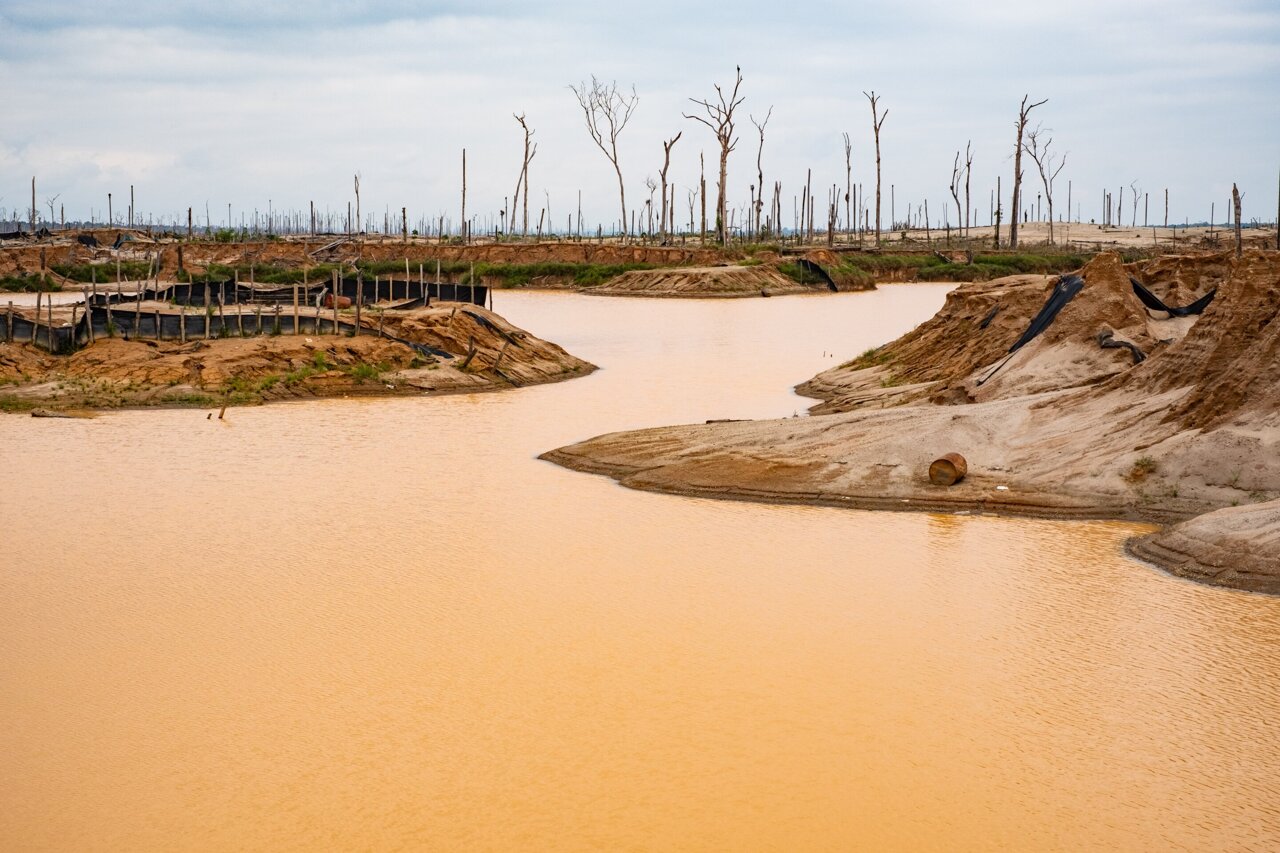 Gold mining critically impairs water quality in rivers across