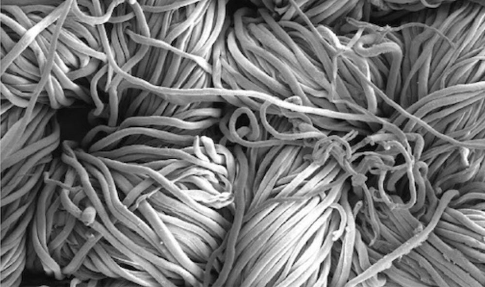 A new antimicrobial cotton textile with Cu ions in nanofibers