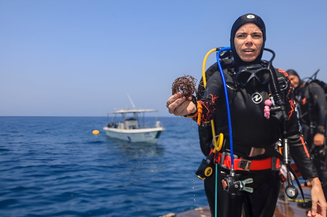 Volunteer divers guard Oman’s ‘unique’ coral reefs