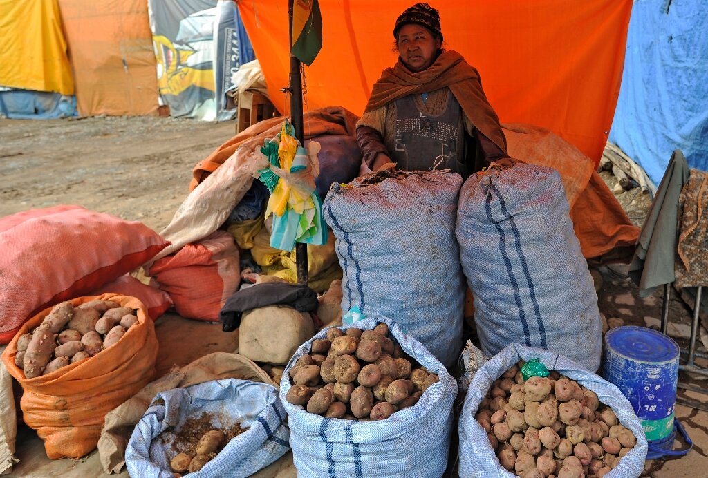 #Drought and frost batter vital potato crops in Bolivia