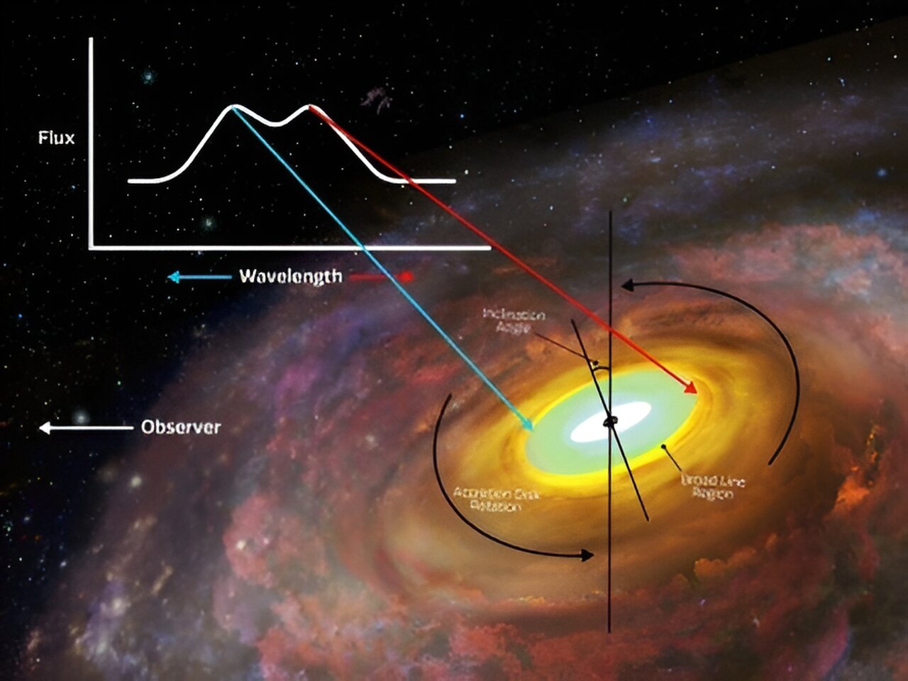 First observations ever of the outskirts of a supermassive black hole's  accretion disk