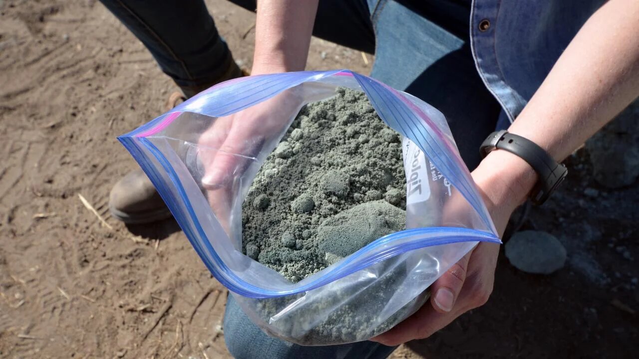 Adding crushed rock to farmland pulls carbon out of the air, field test shows