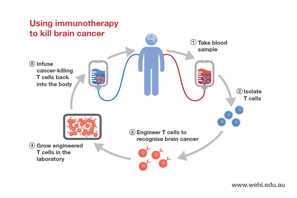 cancer treatment immunotherapy