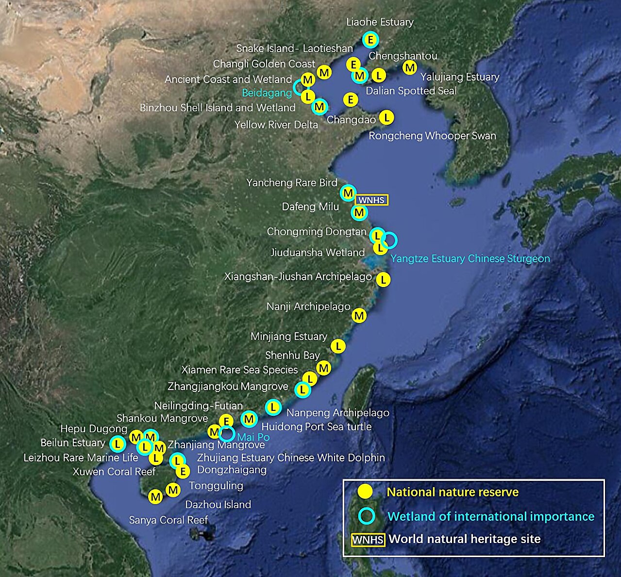 photo of Advancing coastal waterbird conservation in China: Policy progress and challenges image