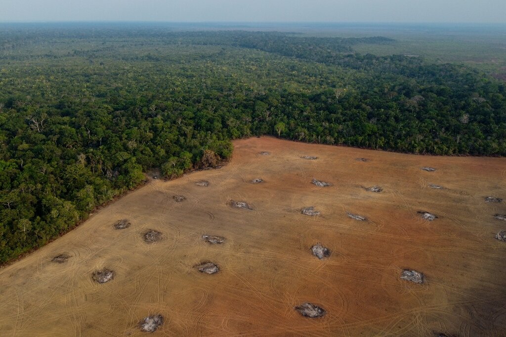 Brazil begins first operations to protect Amazon