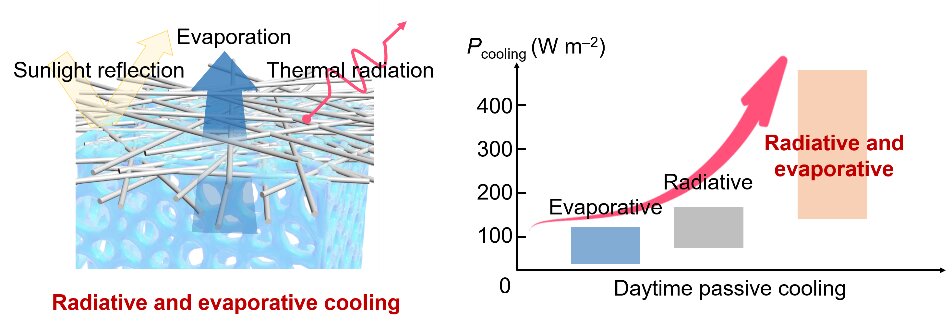 An integrated approach to cool: How evaporation and radiation can