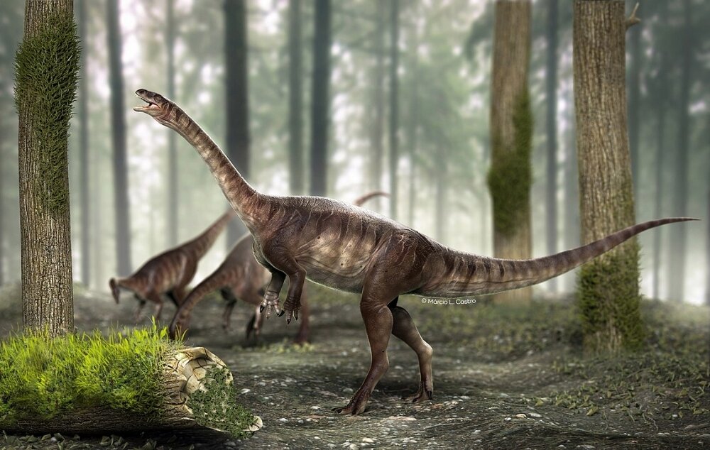 Newly Discovered Brazilian Fossil Unveils Earliest Proof of Evolutionary Trait Enabling Dinosaurs to Grow into Giants