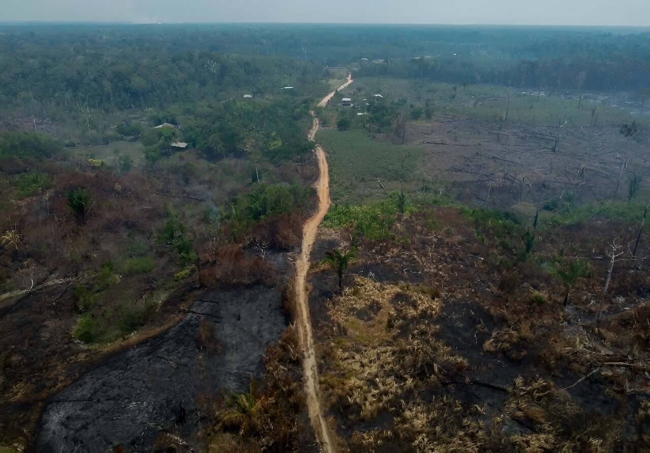 O desmatamento desacelerou na Amazônia brasileira