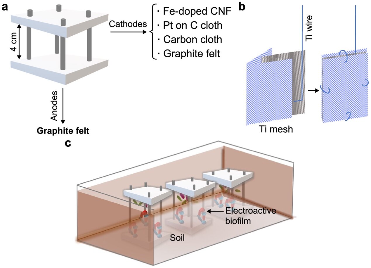 #Carbon-based cathodes impact biofilm composition and performance in soil microbial fuel cells
