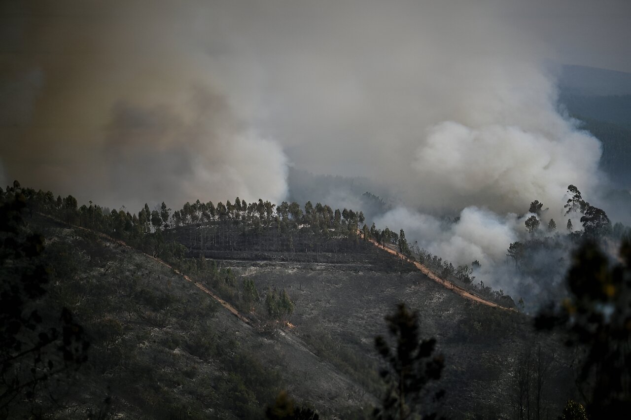 Los incendios forestales en España y Portugal registran alerta de calor