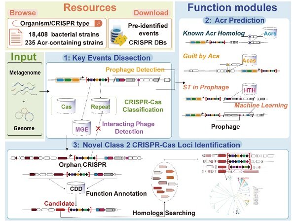 Team creates genome editing and modification CRISPR tool with advanced big data visualization platform