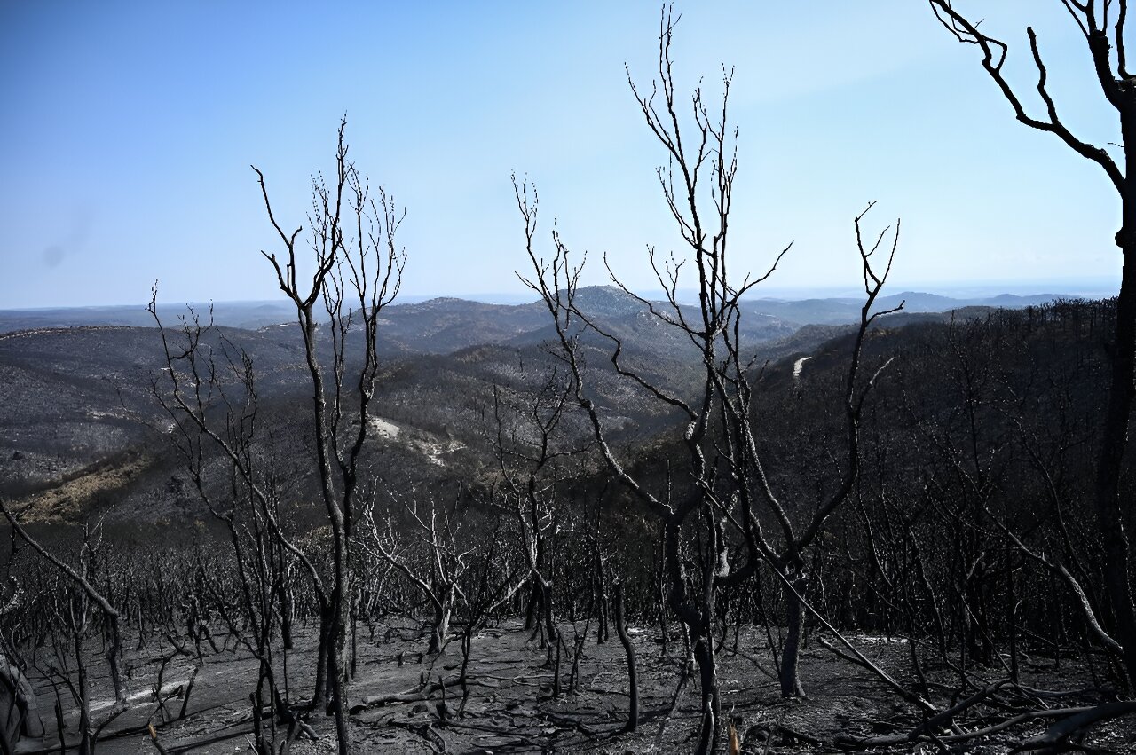 Desolation in Greece’s Dadia park after Europe’s biggest fire