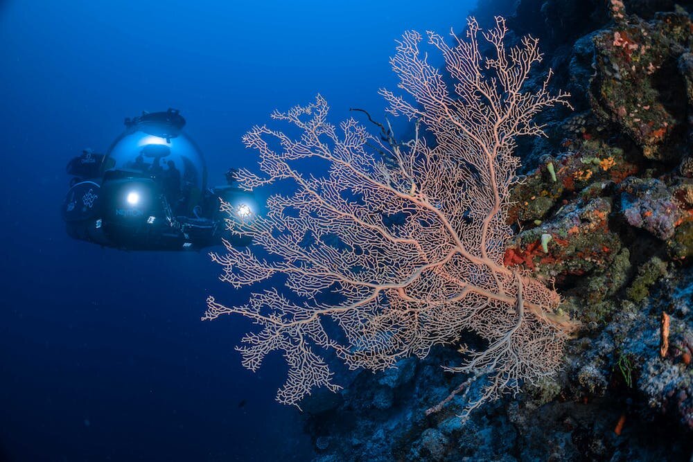 A Deeper Look Into Marine Artificial Reefs - ReefCause