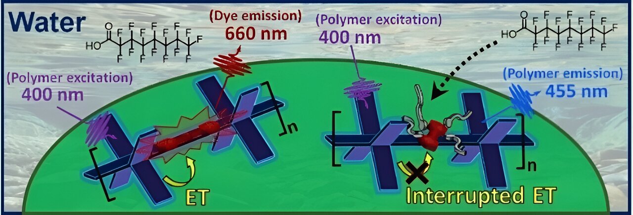 Detection of environmental PFAS by interrupted energy transfer