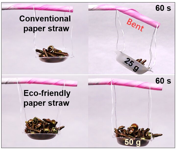 Researchers develop 100% biodegradable paper straws that do not become soggy