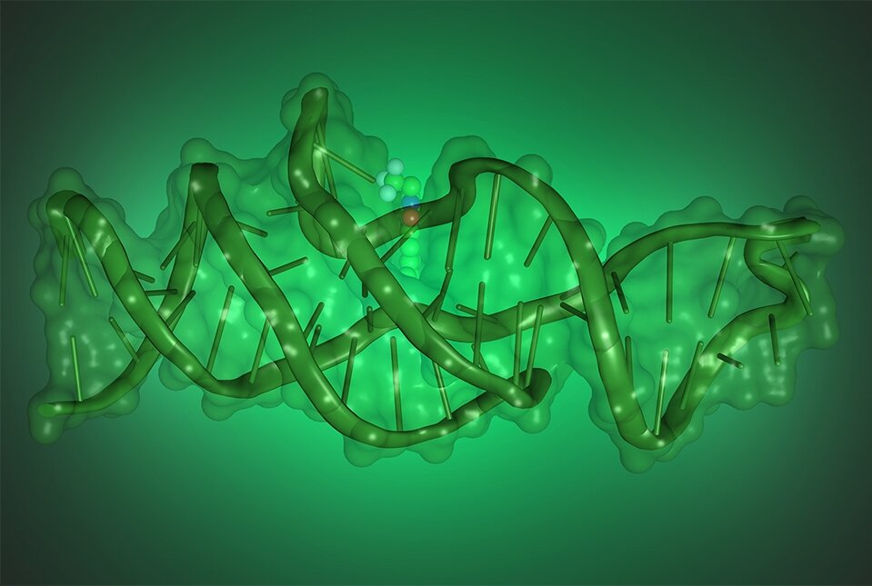 New Functions Enabled by DNA’s Ability to Fold into Complex Shapes