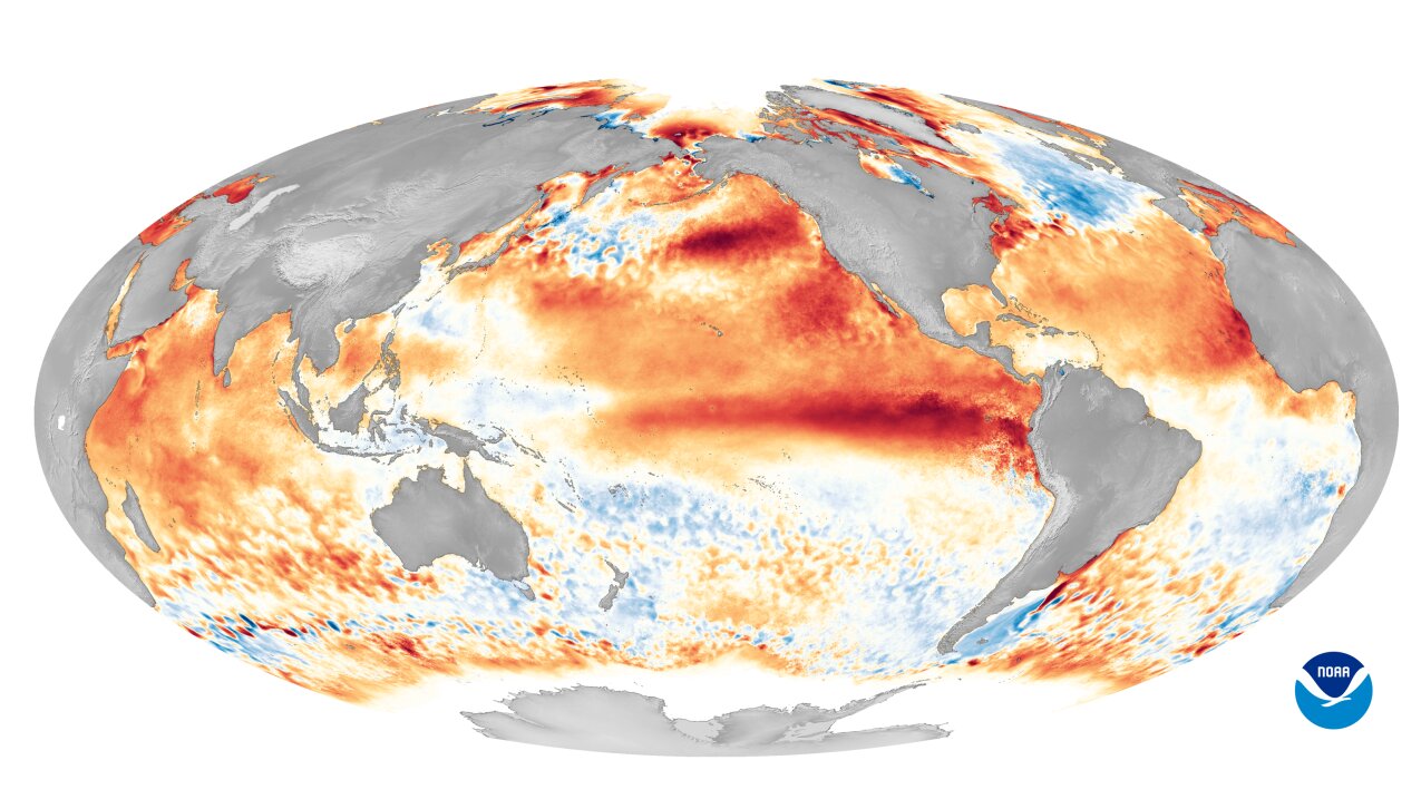 El Niño likely to develop this summer, says scientists