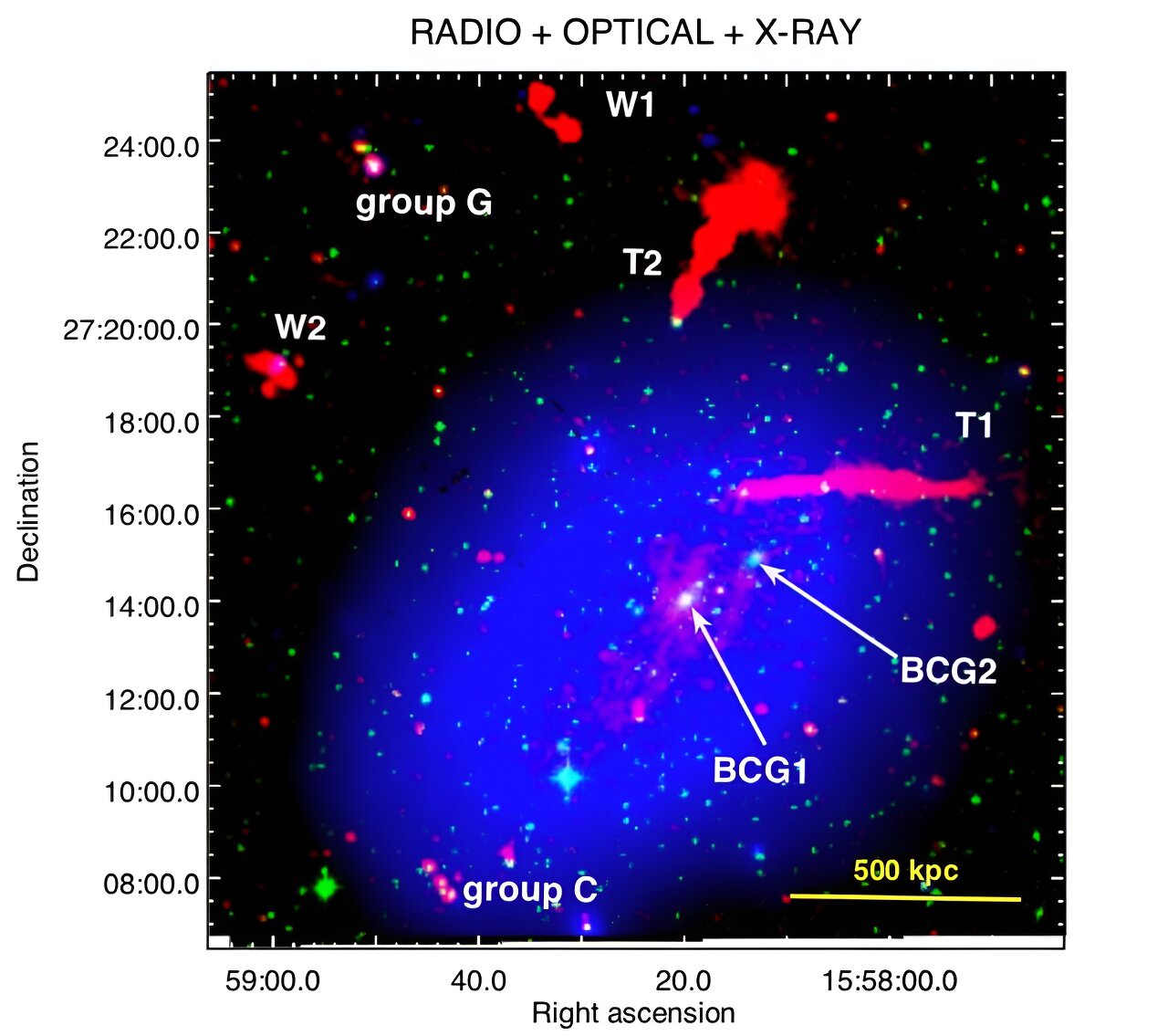 European astronomers detect new component of radio halo in a nearby galaxy  cluster