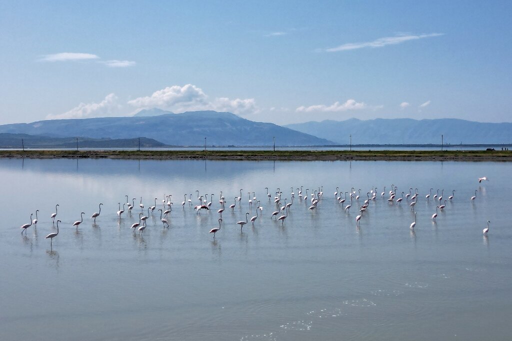 Fragile Albanian Wilderness Faces Imminent Threat from Airport Development