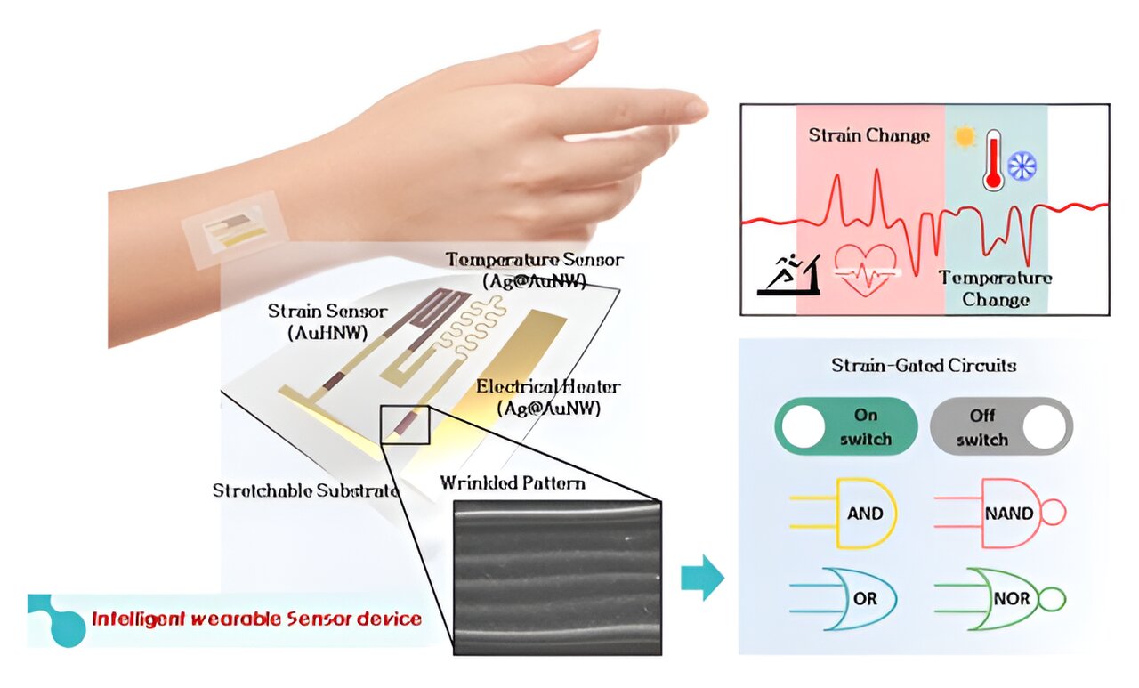 You are currently viewing Workforce makes use of gold nanowires to develop wearable sensor that measures two bio-signals