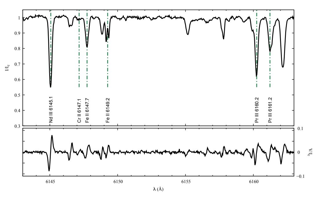 HD 213258 is a rapidly oscillating, strongly magnetic Ap star, study finds