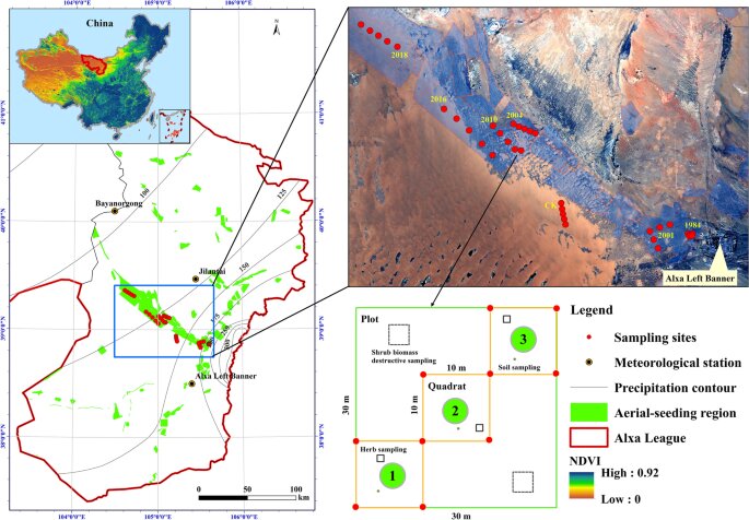 photo of How afforestation by aerial sowing affects topsoil physicochemical properties in deserts image