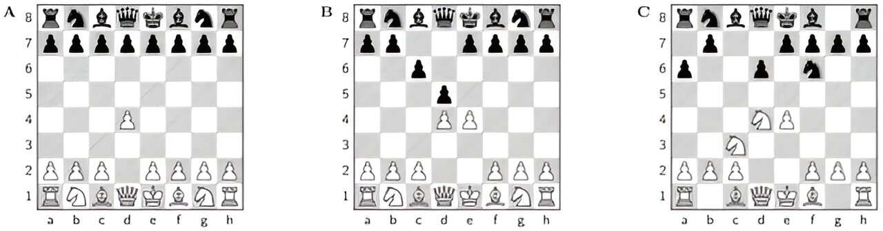 How master chess players choose their opening gambits