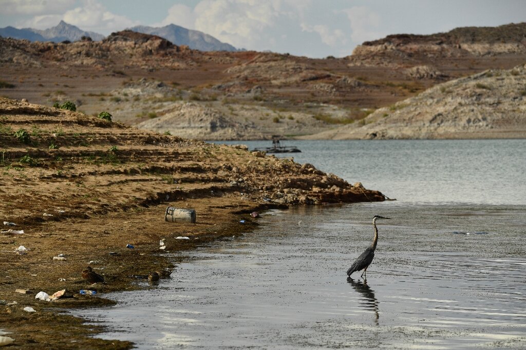 #California submits rival Colorado River water plan