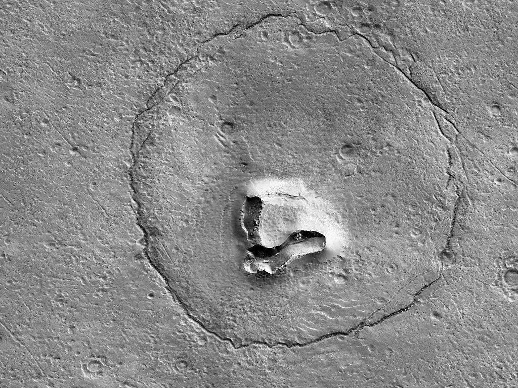 #Is there life on Mars? Maybe, and it could have dropped its teddy