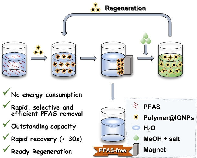 A magnetic method to clean PFAS contaminated water