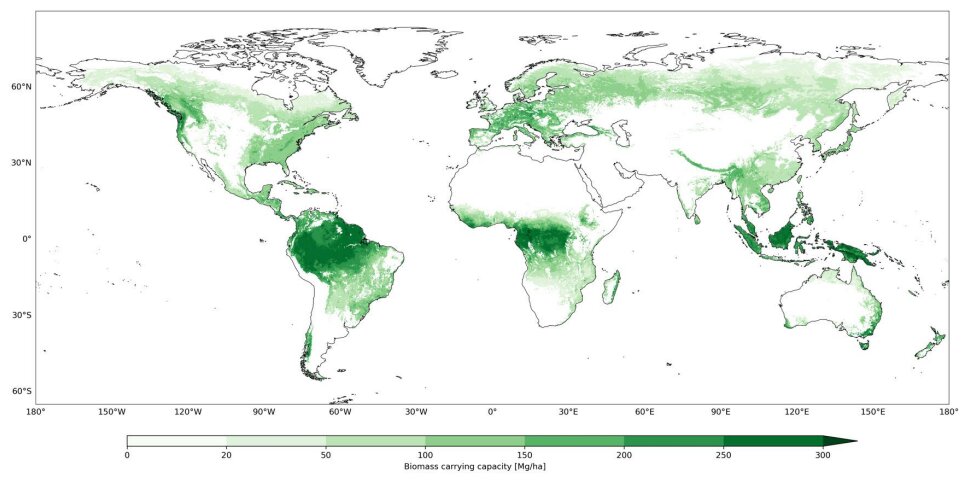 وقف إدارة الغابات لا يكفي لتعويض انبعاثات الكربون