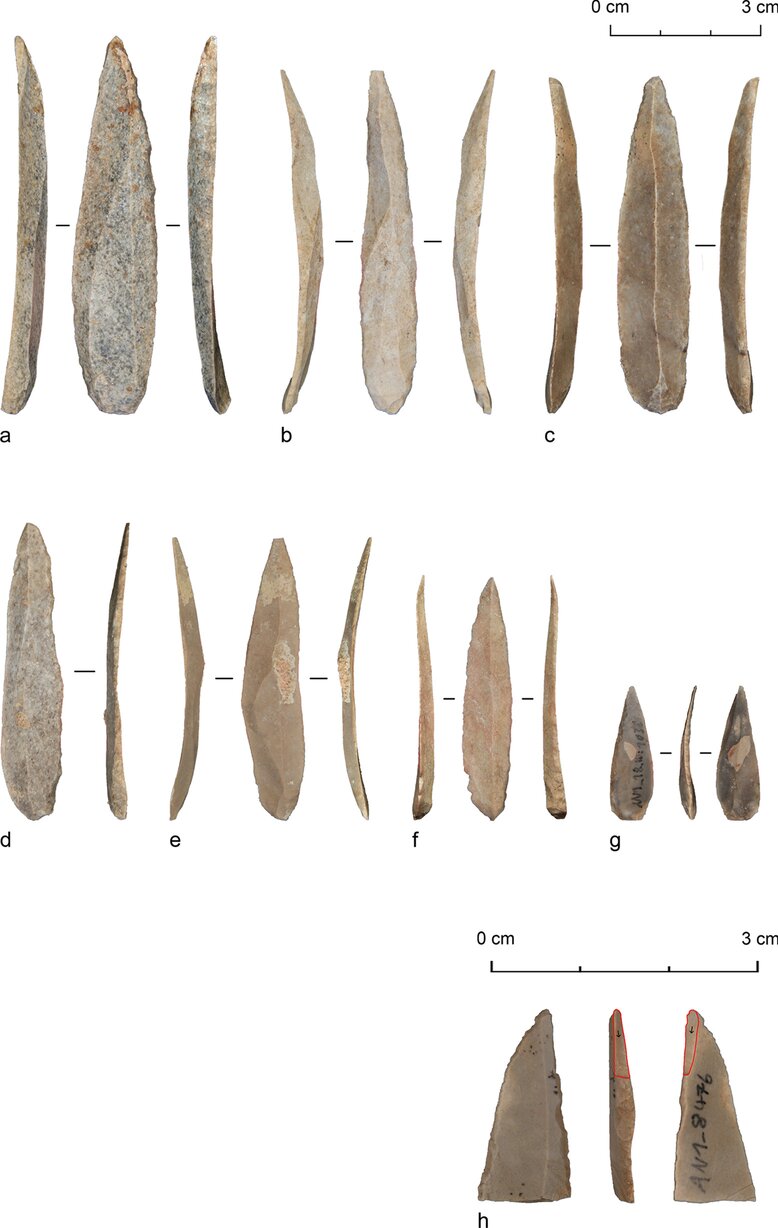 Mass production of stone bladelets shows cultural shift in Paleolithic Levant