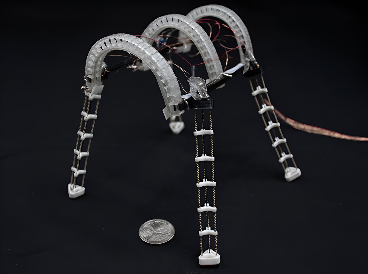 Morphing robots can grip, climb and crawl like insects