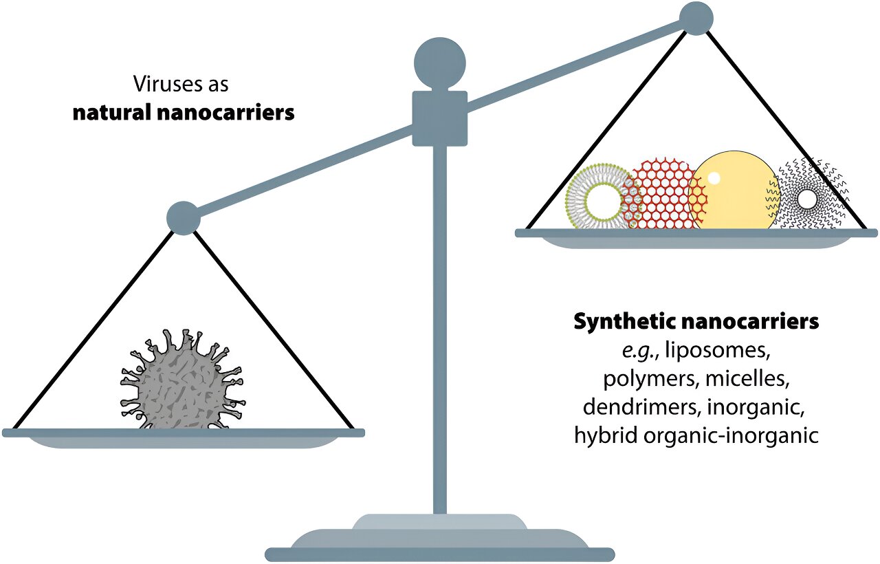 Read more about the article Nanotechnology within the combat towards viruses