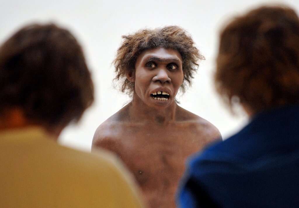 Skepticism about claim human ancestors nearly went extinct
