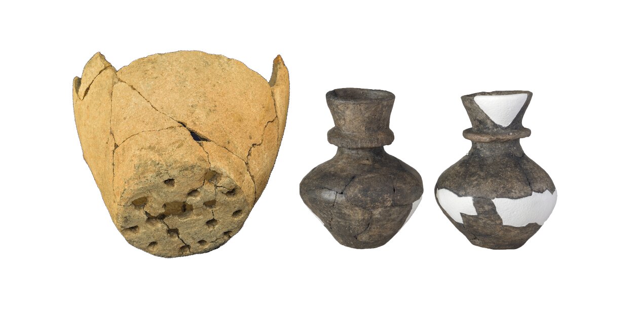 #Neolithic ceramics reveal dairy processing from milk of multiple species