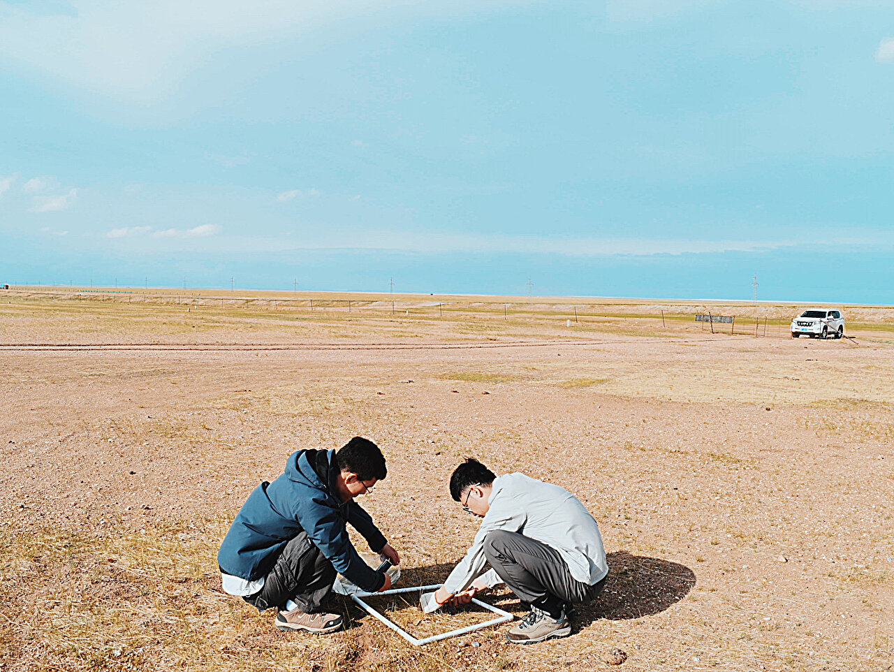 New model sheds light on grassland desertification dynamics