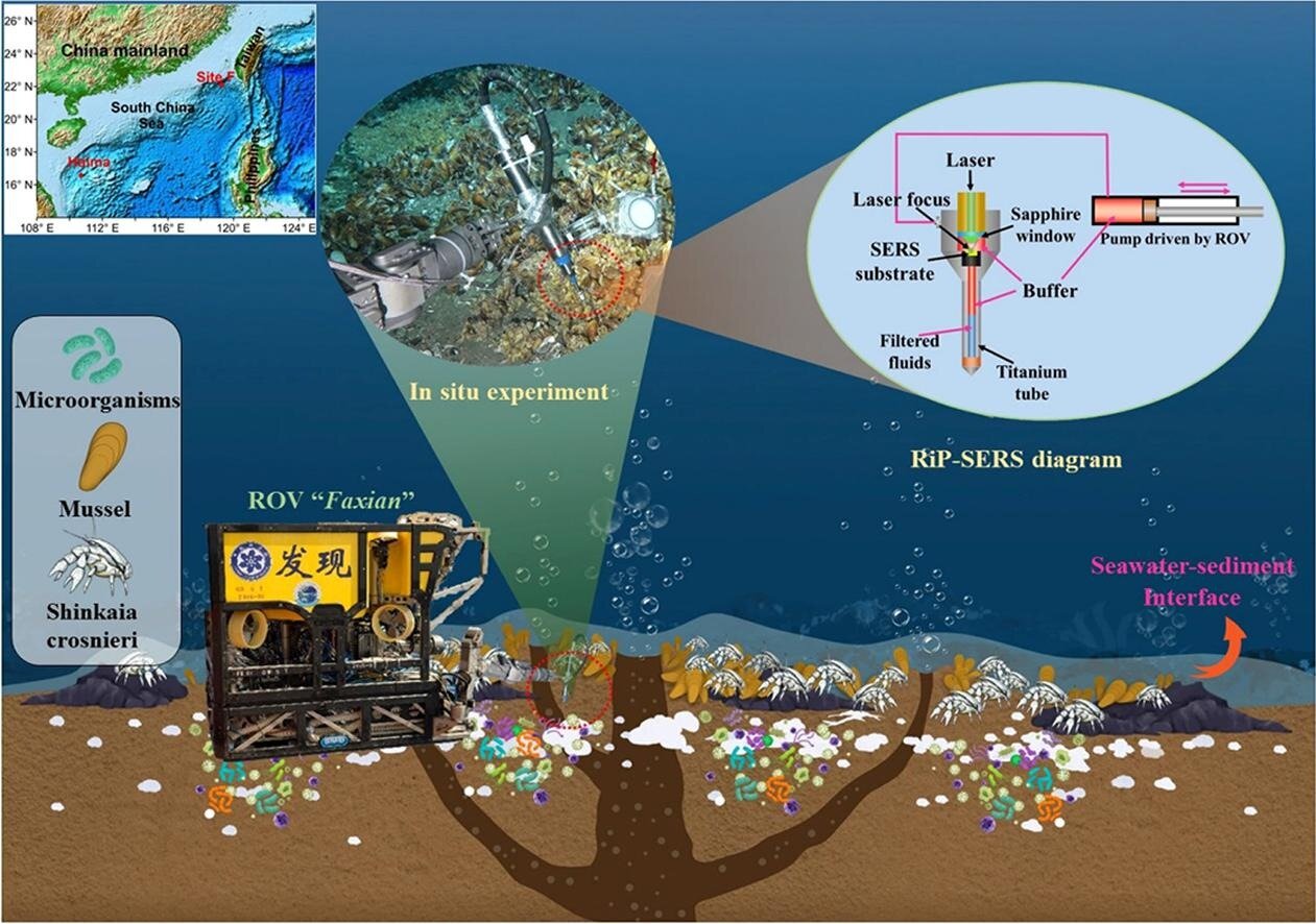 Novel probe helps to detect deep sea biological macromolecules
