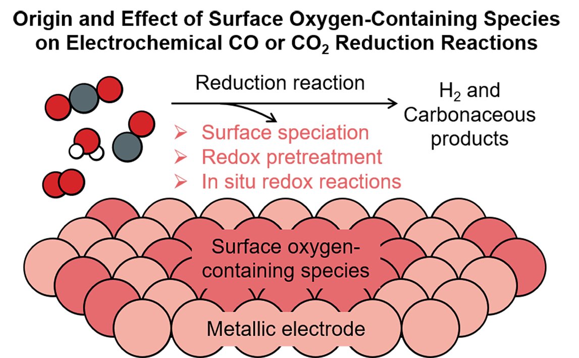 Asal dan efek spesies yang mengandung oksigen permukaan pada reaksi reduksi karbon/oksigen elektrokimia