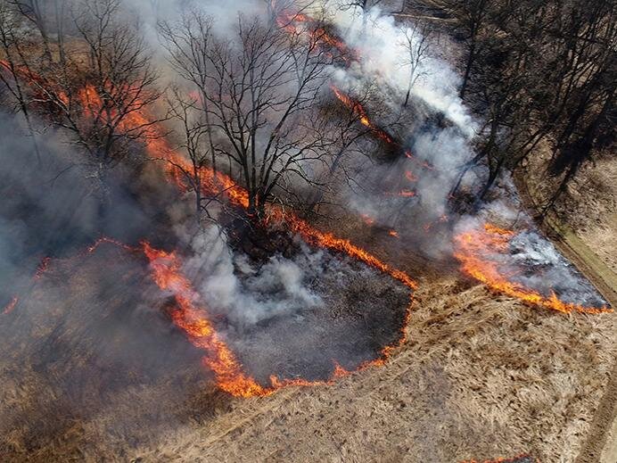 #Private forest landowners in Pennsylvania want to use controlled fire to manage their woods