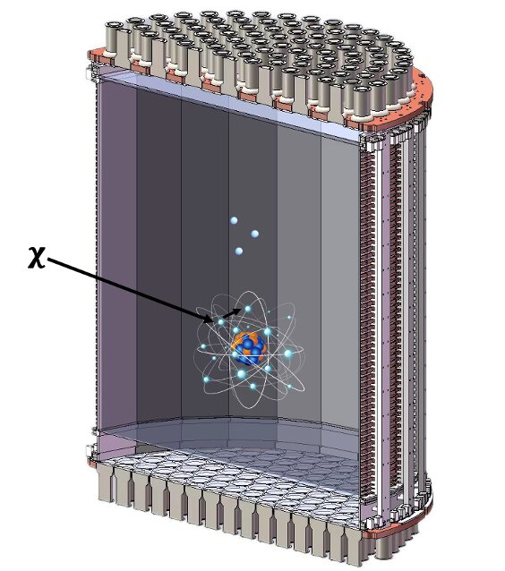 PandaX impose de nouvelles limites à la recherche de matière noire légère via des signaux d’ionisation