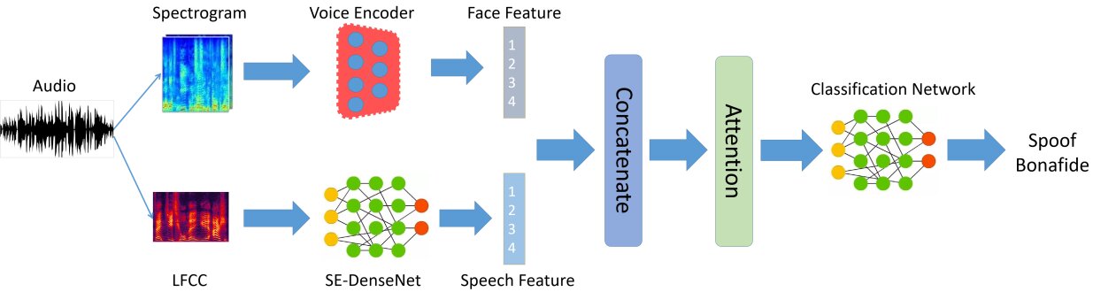 Physiological-physical feature fusion for automatic voice spoofing detection